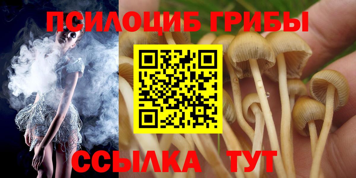 Галлюциногенные грибы Magic Shrooms  Галлюциногенные грибы мухоморы  Балашиха  Вход с VPN 